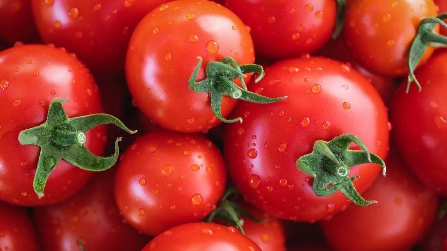 tomates miriam fotos pixabya.jpg